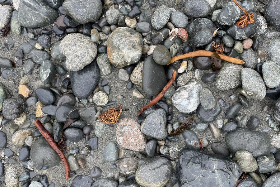 Rocks of various sizes and shapes on the ground in nature